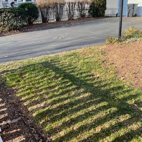 Leaf Removal by Campbell&#039;s Cult reviewed on September 17, 2025