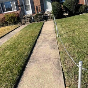 Bush Trimming by Elite Landscaping reviewed on August 10, 2025