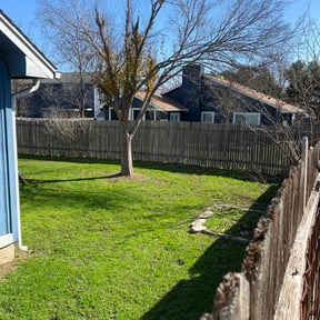 lawn maintenance by One Man Gang reviewed on August 18, 2025