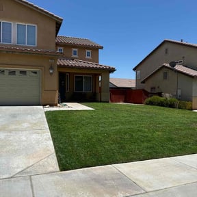 grass maintenance by Unmanageable weeds reviewed on November 19, 2024