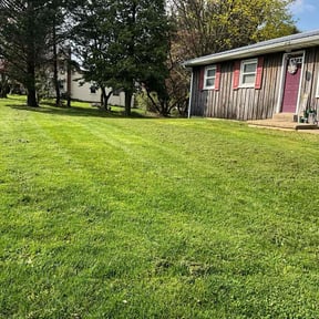 landscaping by Allen Investments reviewed on August 18, 2025