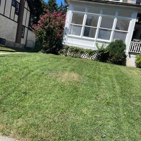 grass maintenance by Dunn-Wright Lawn Care LLC reviewed on July 22, 2023