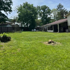 grass maintenance by Abdu Lawn &amp; Landscape reviewed on July 19, 2025