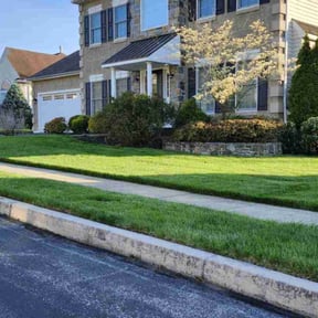 yard care by Green lawn's reviewed on August 21, 2025