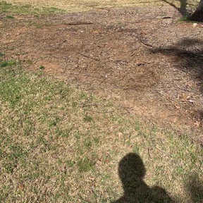 Flower Bed Weeding by C n C Services reviewed on August 18, 2025