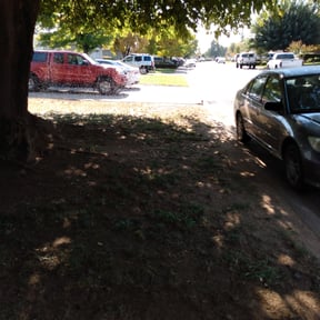 Leaf Removal by Salmon Lawn Care reviewed on September 16, 2025