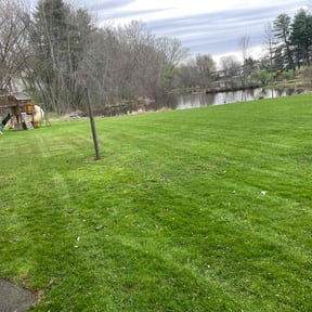 landscape maintenance by Chris Wimler reviewed on August 21, 2025