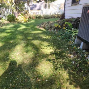 Leaf Removal by MNS Services reviewed on October 24, 2025