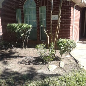 Bush Trimming by South la property care reviewed on August 20, 2025