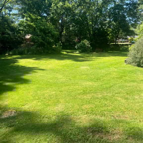 yard work by Phillip Landscape reviewed on August 16, 2025
