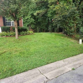 lawn maintenance by Super Mower Yard maintenance and landscaping reviewed on May 17, 2025