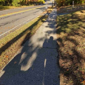 Leaf Removal by Hoyt Properties, LLC reviewed on November 4, 2025