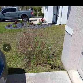 Bush Trimming by Logan Bell reviewed on March 20, 2026