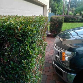 Bush Trimming by Kingdom Lawncare reviewed on August 20, 2025