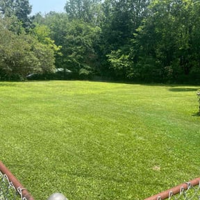 yard maintenance by GAMA Lawn Care Services reviewed on August 15, 2025