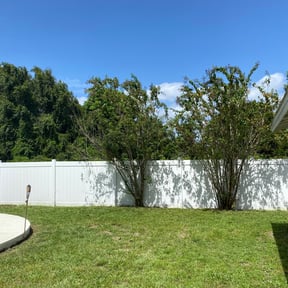 Bush Trimming by Meridian Management Group LLC reviewed on August 20, 2025