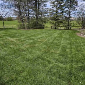 turf care by Tri Stars landscaping and Snow Services LLC reviewed on August 19, 2025