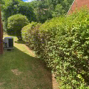 Bush Trimming by Browns Lawncare reviewed on August 15, 2025