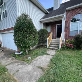 Bush Trimming by A-1 Affordable Lawn Care reviewed on November 23, 2025