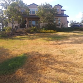 Bush Trimming by Beez Lawncare reviewed on August 18, 2025
