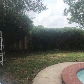 Bush Trimming by Israel's lawncare reviewed on August 16, 2025