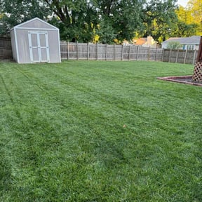 landscaping by Weed Whackers reviewed on August 21, 2025
