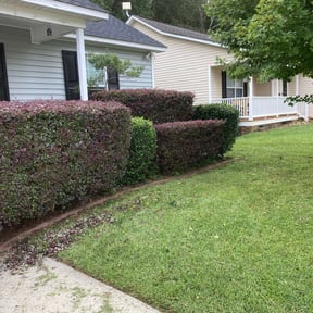 Bush Trimming by Texas Compass reviewed on August 20, 2025