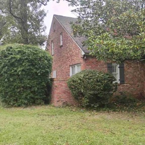 Bush Trimming by National preservation and REO services reviewed on August 15, 2025