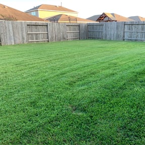landscaping by Hope Lawn Care reviewed on August 15, 2025