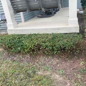 Bush Trimming by Lawn Bee&#039;z reviewed on October 23, 2025