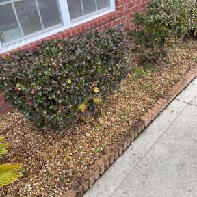 Bush Trimming by Lil Boss man & Son's Lawn care reviewed on August 17, 2025