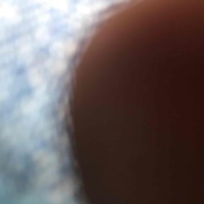 Bush Trimming by Savage lawns reviewed on January 28, 2026