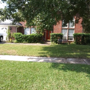 Bush Trimming by Uppercuts Lawn Care reviewed on August 16, 2025