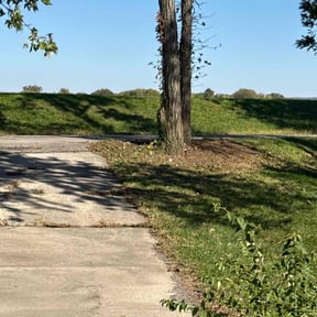 Bush Trimming by Loves Yardwork LLC reviewed on May 4, 2026