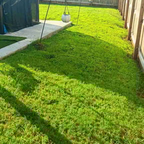 yard service by Ironhorse Maintenance LLC reviewed on August 15, 2025