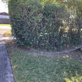 Bush Trimming by House of Beauty Lawn Care reviewed on January 8, 2026