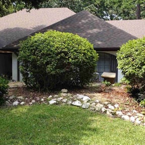 Bush Trimming by 87 Lawn Care Services reviewed on August 18, 2025