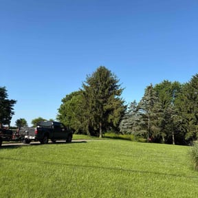 yard care by Service Squad L.L.C. reviewed on February 15, 2026