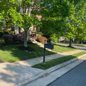 lawn maintenance by G. Green Lawns reviewed on April 29, 2024