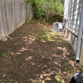 Leaf Removal by Corlewlawncare reviewed on August 17, 2025