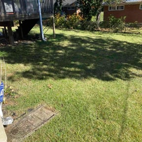 Leaf Removal by Adrian landscaping reviewed on November 9, 2025