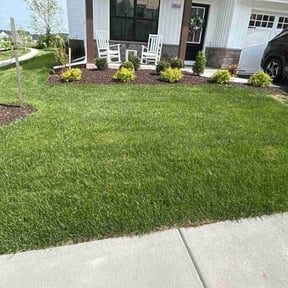 lawn service by W&P full property maintenance LLC reviewed on August 17, 2025