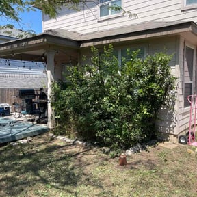 Bush Trimming by Priority Cutz Lawn Care reviewed on August 21, 2025