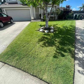 yard service by Clean cuts mowing reviewed on August 15, 2025