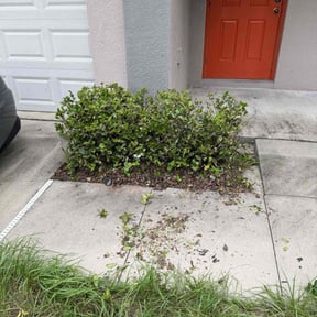 Bush Trimming by Rice Brothers Lawn Care reviewed on November 10, 2025