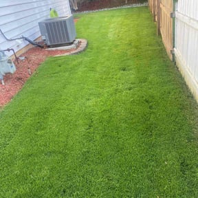 turf care by Cummings and Cummings Lawn Care reviewed on December 31, 2023