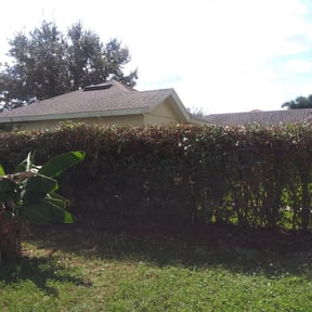 Bush Trimming by SM Lawn Services reviewed on August 19, 2025
