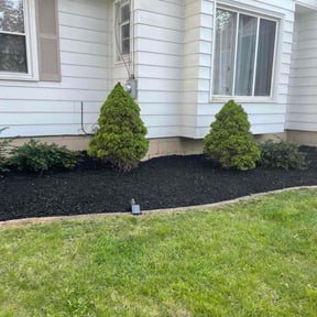 Mulching by SGP Lawn Services reviewed on August 18, 2025