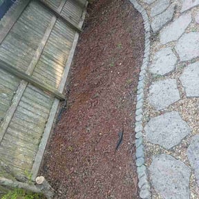 Leaf Removal by Matt’s junk removal &amp; landscaping reviewed on June 17, 2026