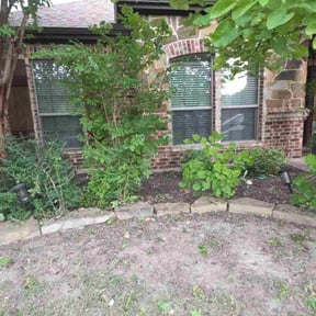 Bush Trimming by Grias reviewed on November 5, 2025